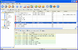 software manager selain idm